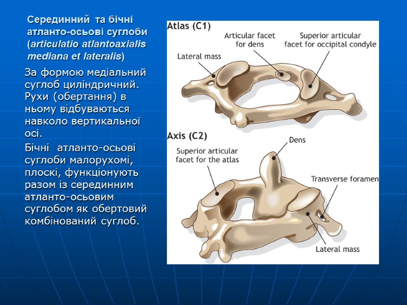 Серединний  та бічні атланто-осьові суглоби (articulatio atlantoaxialis mediana et lateralis) За формою медіальний